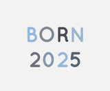 Bügelbild Nr. 2030 Born 2025 blau