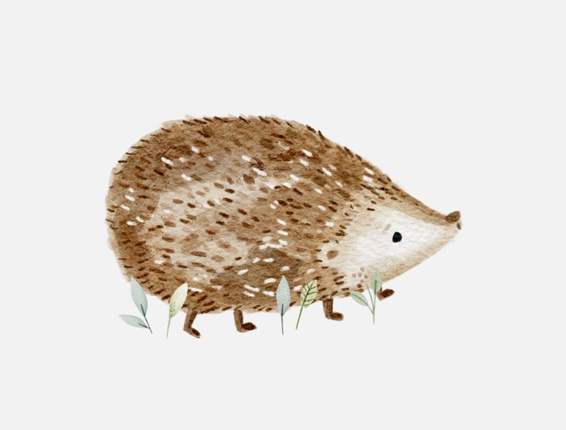 Bügelbild Nr. 43 Igel
