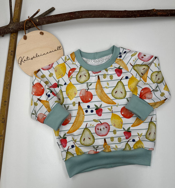 Sweatshirt Gr. 74/80