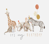 Bügelbild Nr. 62 Its my Birthday gross