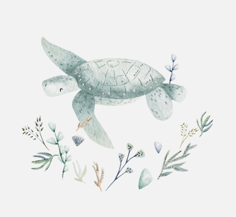Bügelbild Nr. 14 Schildkröte
