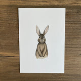 Postkarte Hase