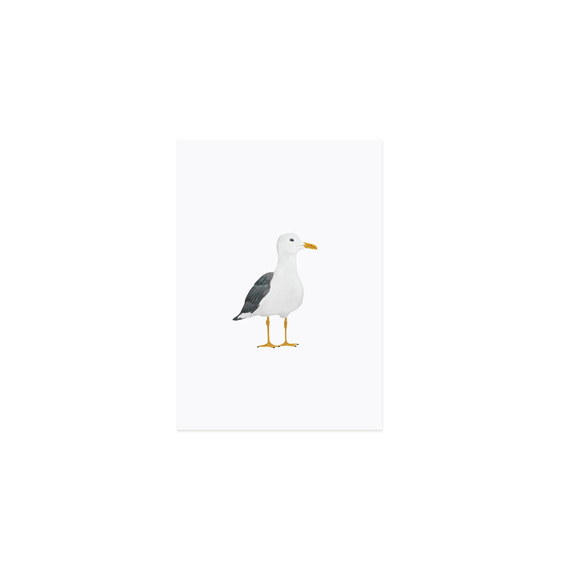 Postkarte Möwe