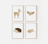Poster Waldtiere A4