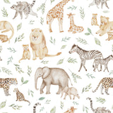 Safari