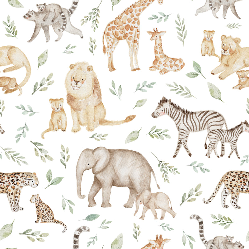 Safari