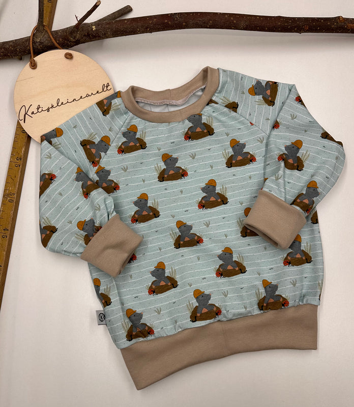 Sweatshirt Gr. 86/92