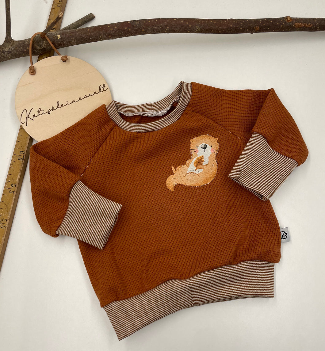 Sweatshirt Gr. 62/68