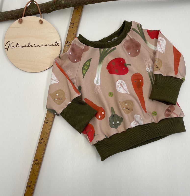 Sweatshirt Gr. 62/68