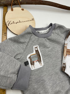 Set Sweatshirt Gr. 86/92 und Mini Jogger 12-18 Monate