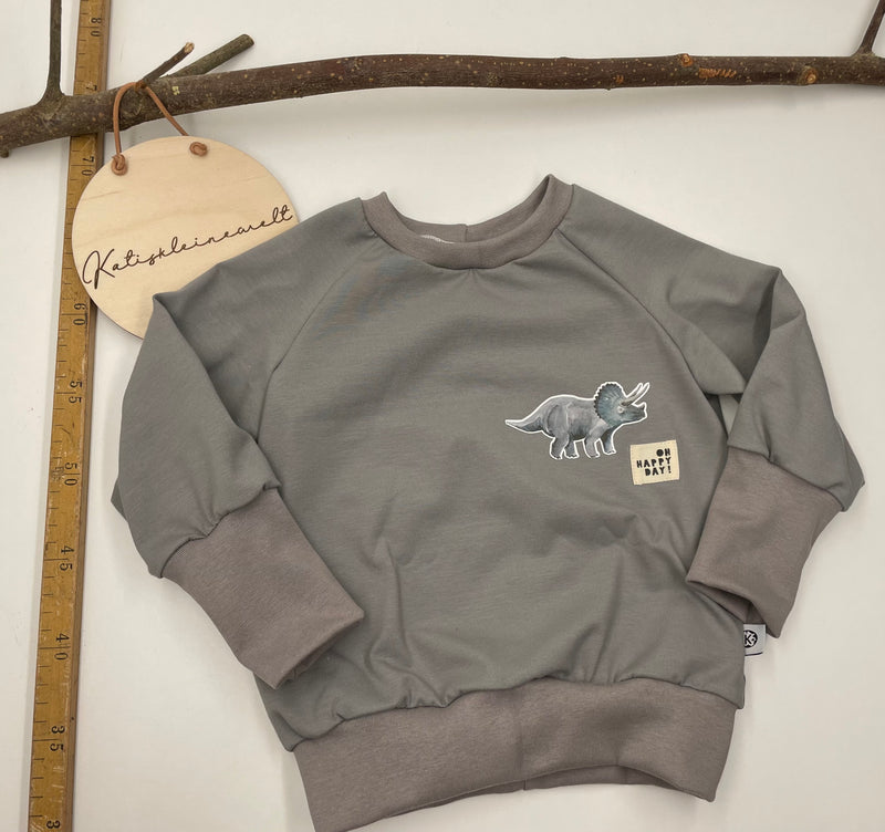 Sweatshirt Gr. 86/92