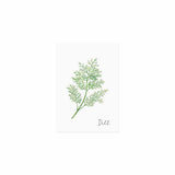 Postkarte Dill