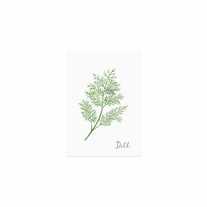 Postkarte Dill