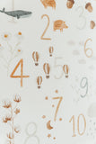 Poster Zahlen A4
